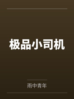 极品小司机 极品小司机