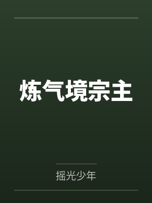 炼气境宗主