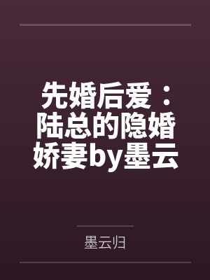 陆总的隐婚悲妻 陆总的隐婚悲妻